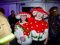 INSELKARNEVAL 2026 (kf)